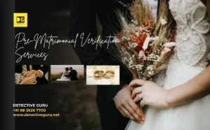 Pre Matrimonial Verification Services